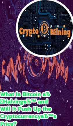 Baby bitcoin price