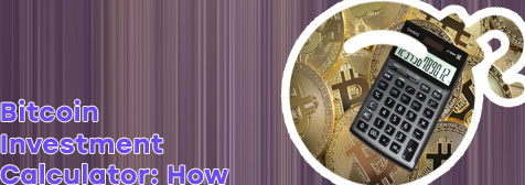 Bitcoin return on investment calculator